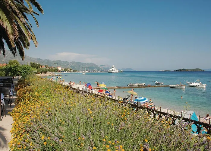 Awesome In With House Sea View Potomje